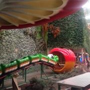 Oruga - Parque De La Selva