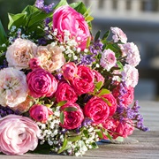 Don't Buy Wrapped Flowers; Pottet Plants Are Better Than Bouquets