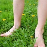 Walking Barefoot on Grass
