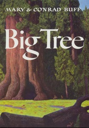 Big Tree (Mary and Conrad Buff)