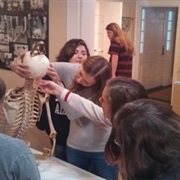 Mobile Medical Museum