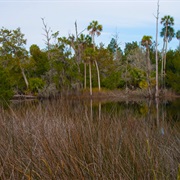 Econfina River State Park, Florida