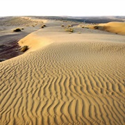 Karakum Desert, Turkmenistan