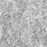Snow Whiteout