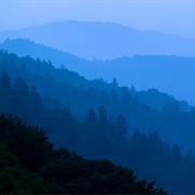 The Great Smokies, Tennessee