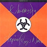 Sleeping Dogs Wake- Threnody