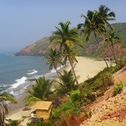 The Beaches of Goa, India