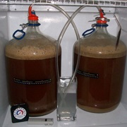 Home Brewed Beer