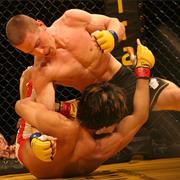 Mixed Martial Arts