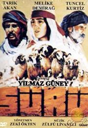 Sürü (The Herd)