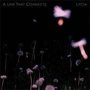 Lycia — a Line That Connects
