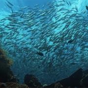 Liberty, Bali, Indonesia