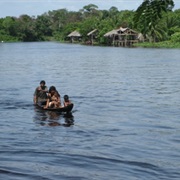 Boating Through the Orinoco Delta, Venezuela