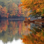Fall Colors in Maine