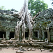 Ta Prohm Temple, Siem Reap, Cambodia