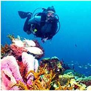 Scuba Dive in St. Lucia