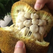 Marang