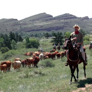 Ride Horses at the Sylvan Dale Guest Ranch