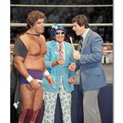 Magnificent Don Muraco