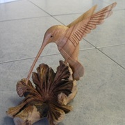 Hummingbird From Salisbury, England