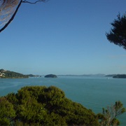 Paihia-Opua Coastal Track