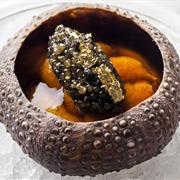 Amber in Hong Kong, China