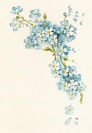 Marianela (Benito Pérez Galdós)