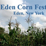Eden Corn Festival