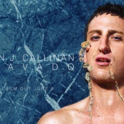 Kirin J Callinan - Bravado