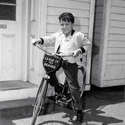 Theodore "Beaver" Cleaver - Leave It to Beaver