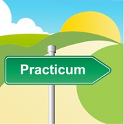Practicum