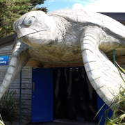 Sealife Centre Weymouth