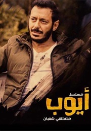 Ayoub (2018)
