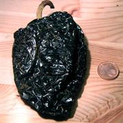 Pablano/Pasilla Peppers