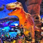 Dine at the T-Rex Cafe