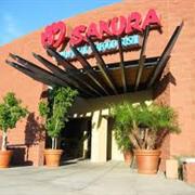 Sakura Restaurant
