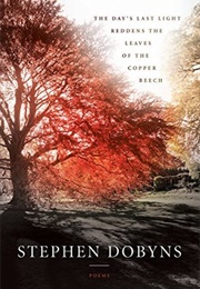 The Day's Last Light Reddens the Leaves of the Copper Beech (Stephen Dobyns)