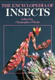 The Encyclopedia of Insects (Christopher O'Toole)