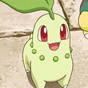 Chikorita