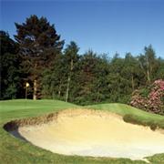 The Berkshire (Blue) England