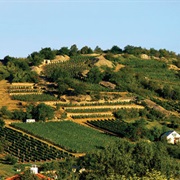 Tokaj Region, Hungary