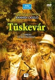 Tüskevár (1967)