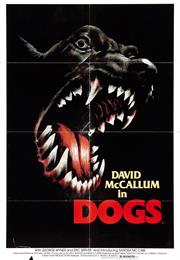 Dogs (1976)