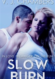 Slow Burn (V.J. Chambers)