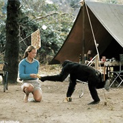 Gombe National Park, Tanzania -Jane Goodall