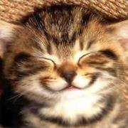 You Know What It Means to Be Happy