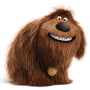 Duke (Secret Life of Pets)