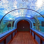 National Marine Aquarium of Namibia
