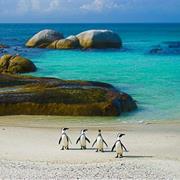 Simon's Town, South Africa