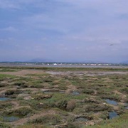 San Diego National Wildlife Refuge, Sweetwater Marsh